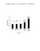 COLLAGEN-BINDING SYNTHETIC PEPTIDOGLYCANS, PREPARATION, AND METHODS OF USE diagram and image