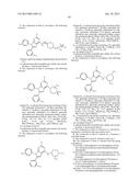 PERIPHERALLY RESTRICTED DIPHENYL PURINE DERIVATIVES diagram and image