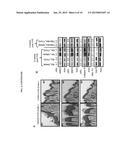 METHOD FOR PREVENTING ULTRAVIOLET RADIATION-INDUCED CUTANEOUS DAMAGE AND     DEVELOPMENT OF SQUAMOUS CELL CARCINOMAS diagram and image