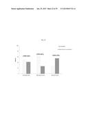 USE OF INHIBITORS OF BRUTON S TYROSINE KINASE (BTK) diagram and image