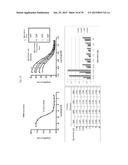 USE OF INHIBITORS OF BRUTON S TYROSINE KINASE (BTK) diagram and image