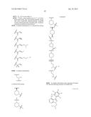 USE OF INHIBITORS OF BRUTON S TYROSINE KINASE (BTK) diagram and image