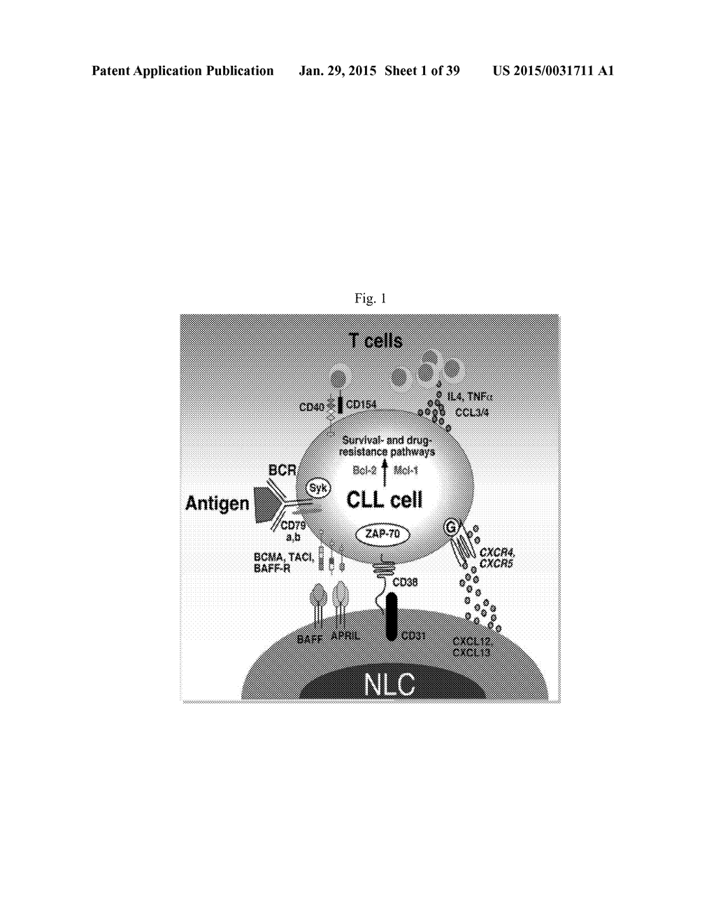 USE OF INHIBITORS OF BRUTON'S TYROSINE KINASE (BTK) - diagram, schematic, and image 02