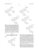 ARYL METHYL BENZOQUINAZOLINONE M1 RECEPTOR POSITIVE ALLOSTERIC MODULATORS diagram and image