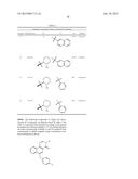 ARYL METHYL BENZOQUINAZOLINONE M1 RECEPTOR POSITIVE ALLOSTERIC MODULATORS diagram and image