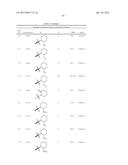 ARYL METHYL BENZOQUINAZOLINONE M1 RECEPTOR POSITIVE ALLOSTERIC MODULATORS diagram and image