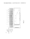 METHODS AND COMPOSITIONS FOR PREVENTION OF ALLERGIC REACTION diagram and image