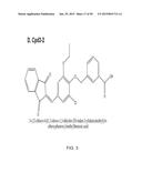 METHODS AND COMPOSITIONS FOR PREVENTION OF ALLERGIC REACTION diagram and image