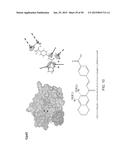 METHODS AND COMPOSITIONS FOR PREVENTION OF ALLERGIC REACTION diagram and image