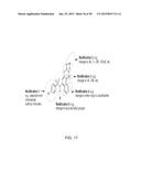 METHODS AND COMPOSITIONS FOR PREVENTION OF ALLERGIC REACTION diagram and image