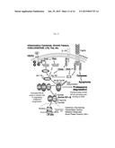 COMPOSITIONS AND METHODS FOR TREATING CANCER diagram and image