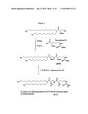 COATED LIPID COMPLEXES AND THEIR USE diagram and image