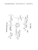 COATED LIPID COMPLEXES AND THEIR USE diagram and image