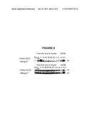 Pharmaceutical Formulations of HDAC Inhibitors diagram and image