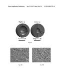 MULTIFUNCTIONAL SYNTACTIC FOAMS diagram and image