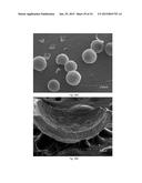 MULTIFUNCTIONAL SYNTACTIC FOAMS diagram and image