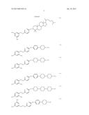 LIQUID CRYSTAL ALIGNMENT AGENT, LIQUID CRYSTAL ALIGNMENT FILM AND LIQUID     CRYSTAL DISPLAY ELEMENT HAVING THEREOF diagram and image