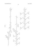 SELECTIVE DELIVERY MOLECULES AND METHODS OF USE diagram and image