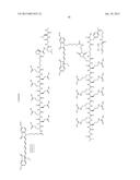 SELECTIVE DELIVERY MOLECULES AND METHODS OF USE diagram and image