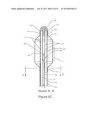 DIRECT VISION CRYOSURGICAL PROBE AND METHODS OF USE diagram and image