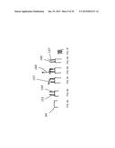 TRANSAPICAL MITRAL VALVE REPAIR METHOD diagram and image