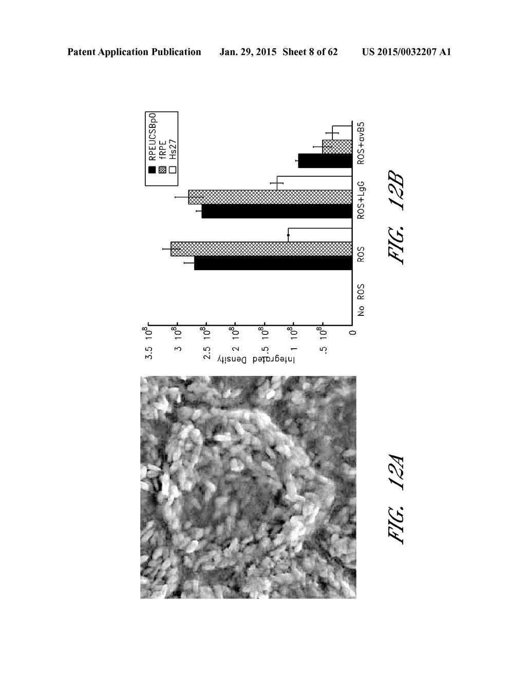 INSTRUMENTS AND METHODS FOR THE IMPLANTATION OF CELL-SEEDED SUBSTRATES - diagram, schematic, and image 09