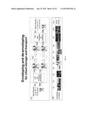 Enveloping for Cloud Computing via Wavefront Muxing diagram and image