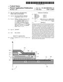 ORGANIC MODULE EMI SHIELDING STRUCTURES AND METHODS diagram and image