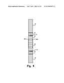 Two-Axis Sensor Body For A Load Transducer diagram and image