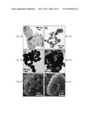 HIERARCHICAL SELF-ASSEMBLED ENERGETIC MATERIALS AND FORMATION METHODS diagram and image