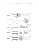 BEAD INCUBATION AND WASHING ON A DROPLET ACTUATOR diagram and image