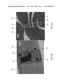 GATE-TUNABLE P-N HETEROJUNCTION DIODE, AND FABRICATION METHOD AND     APPLICATION OF SAME diagram and image