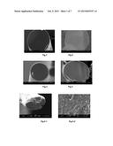 PROCESS OF MELT-SPINNING POLYACRYLONITRILE FIBER diagram and image