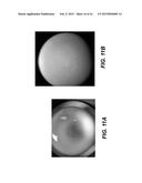 METHODS AND APPARATUS FOR TRUE HIGH DYNAMIC RANGE IMAGING diagram and image