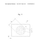 DISPLAY DEVICE diagram and image