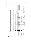 MAMMALIAN HOMOLOGUES OF FLOWER, THEIR USE IN CANCER DIAGNOSTICS,     PREVENTION AND TREATMENT diagram and image