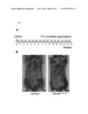 MAMMALIAN HOMOLOGUES OF FLOWER, THEIR USE IN CANCER DIAGNOSTICS,     PREVENTION AND TREATMENT diagram and image