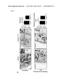 MAMMALIAN HOMOLOGUES OF FLOWER, THEIR USE IN CANCER DIAGNOSTICS,     PREVENTION AND TREATMENT diagram and image