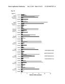 MAMMALIAN HOMOLOGUES OF FLOWER, THEIR USE IN CANCER DIAGNOSTICS,     PREVENTION AND TREATMENT diagram and image