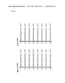 MAMMALIAN HOMOLOGUES OF FLOWER, THEIR USE IN CANCER DIAGNOSTICS,     PREVENTION AND TREATMENT diagram and image