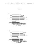 COMPOSITIONS AND METHODS FOR CELL TRANSPLANTATION diagram and image