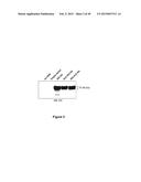 TARGETED LYSOSOMAL ENZYME COMPOUNDS diagram and image