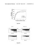 TARGETED LYSOSOMAL ENZYME COMPOUNDS diagram and image