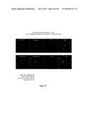 TARGETED LYSOSOMAL ENZYME COMPOUNDS diagram and image