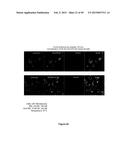 TARGETED LYSOSOMAL ENZYME COMPOUNDS diagram and image