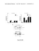 TARGETED LYSOSOMAL ENZYME COMPOUNDS diagram and image