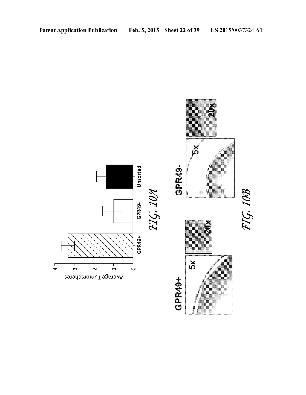 ANTIBODIES AND METHODS OF TREATING CANCER - diagram, schematic, and image 23