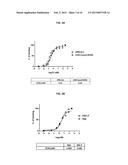 ANTI-CXCR4 ANTIBODIES AND ANTIBODY-DRUG CONJUGATES diagram and image