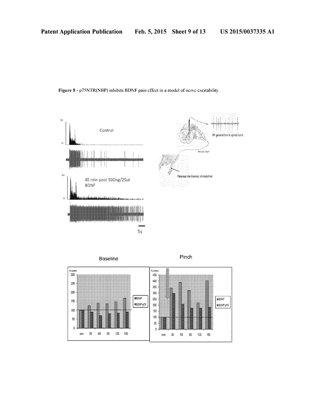 THERAPEUTIC USE OF P75NTR NEUROTROPHIN BINDING PROTEIN - diagram, schematic, and image 10