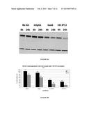 NOVEL ANTIGEN BINDING PROTEIN AND ITS USE AS ADDRESSING PRODUCT FOR THE     TREATMENT OF CANCER diagram and image